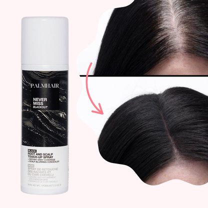 PalmHair : Root & Scalp Touch Up Spray